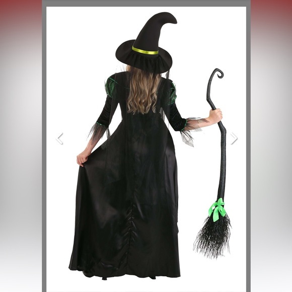 Woman’s Storybook Witch Costume - Picture 2 of 7